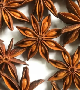 Vietnamese Star Aniseed